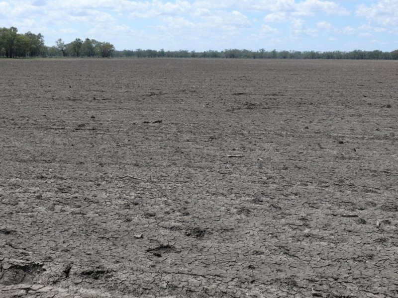 ” Basin Downs”, Surat QLD 4417