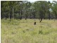 ” Basin Downs”, Surat QLD 4417