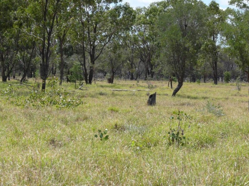 ” Basin Downs”, Surat QLD 4417