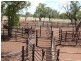 ” Basin Downs”, Surat QLD 4417