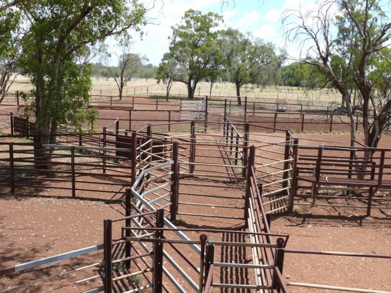 ” Basin Downs”, Surat QLD 4417