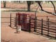 ” Basin Downs”, Surat QLD 4417