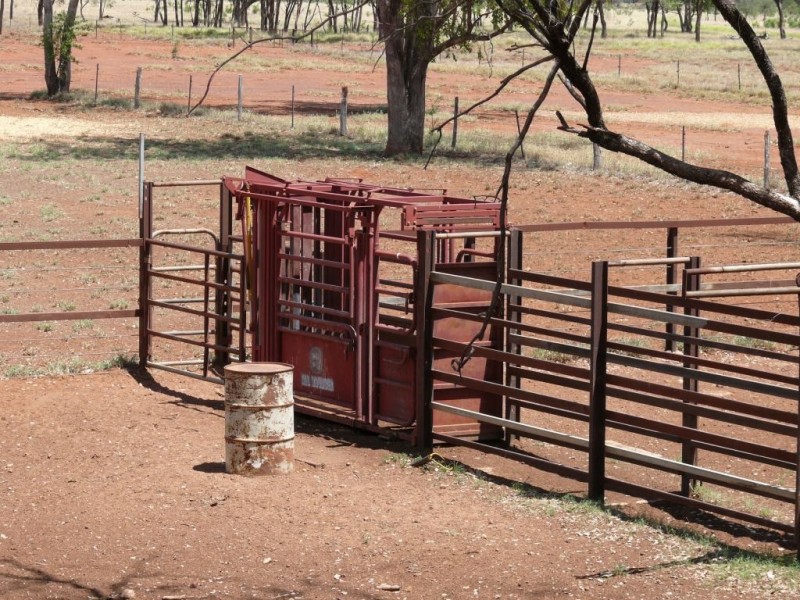 ” Basin Downs”, Surat QLD 4417