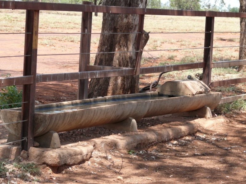 ” Basin Downs”, Surat QLD 4417