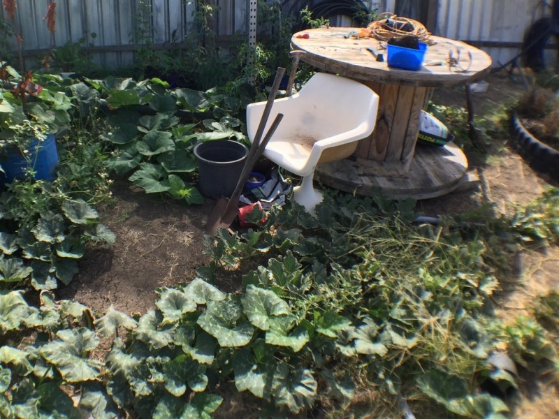 Lot 5 Hayward Street, Warra QLD 4411