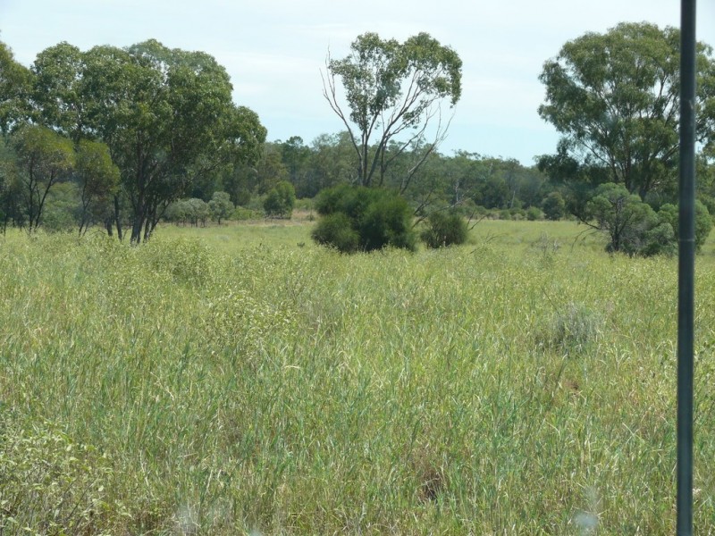 ” Lonesome”, Glenmorgan QLD 4423