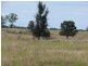 ” Lonesome”, Glenmorgan QLD 4423