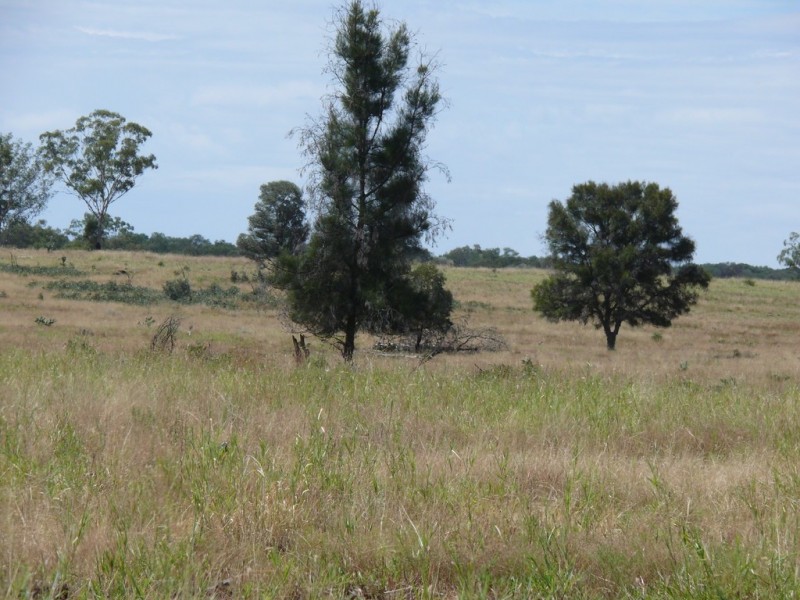 ” Lonesome”, Glenmorgan QLD 4423