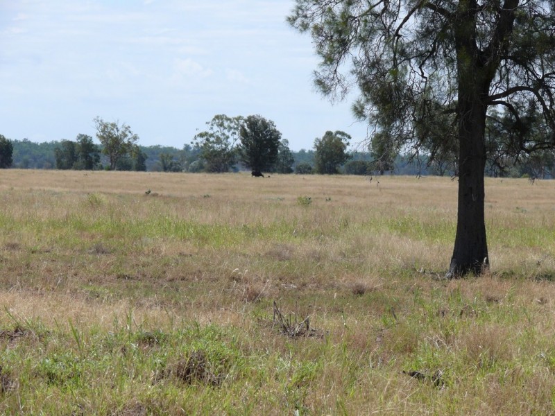 ” Lonesome”, Glenmorgan QLD 4423