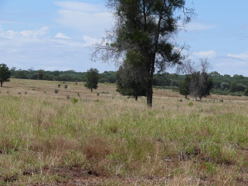 ” Lonesome”, Glenmorgan QLD 4423