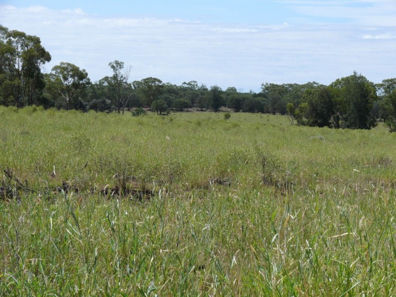 ” Lonesome”, Glenmorgan QLD 4423
