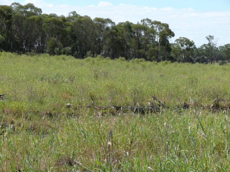 ” Lonesome”, Glenmorgan QLD 4423