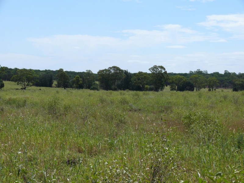 ” Lonesome”, Glenmorgan QLD 4423