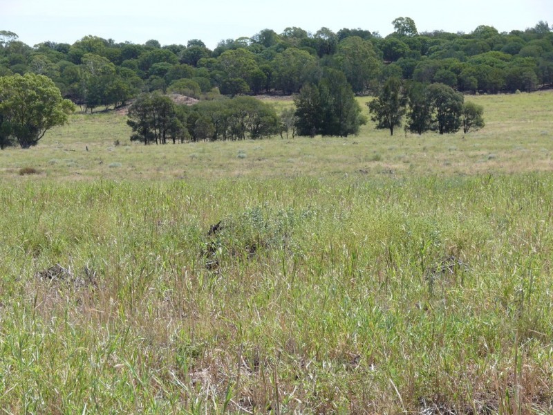 ” Lonesome”, Glenmorgan QLD 4423