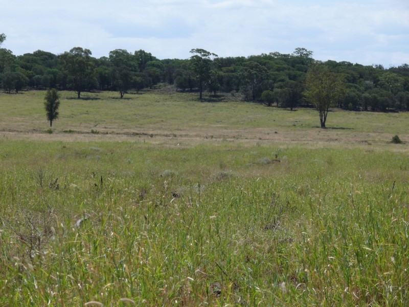 ” Lonesome”, Glenmorgan QLD 4423