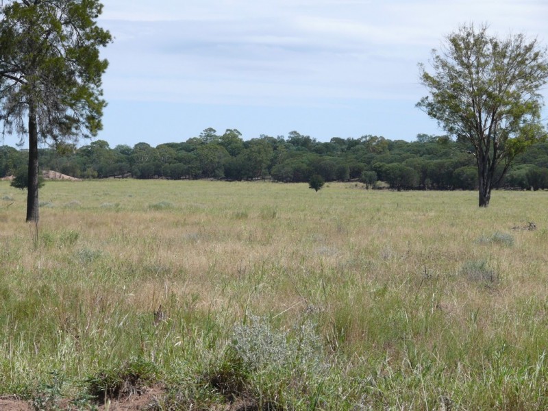 ” Lonesome”, Glenmorgan QLD 4423