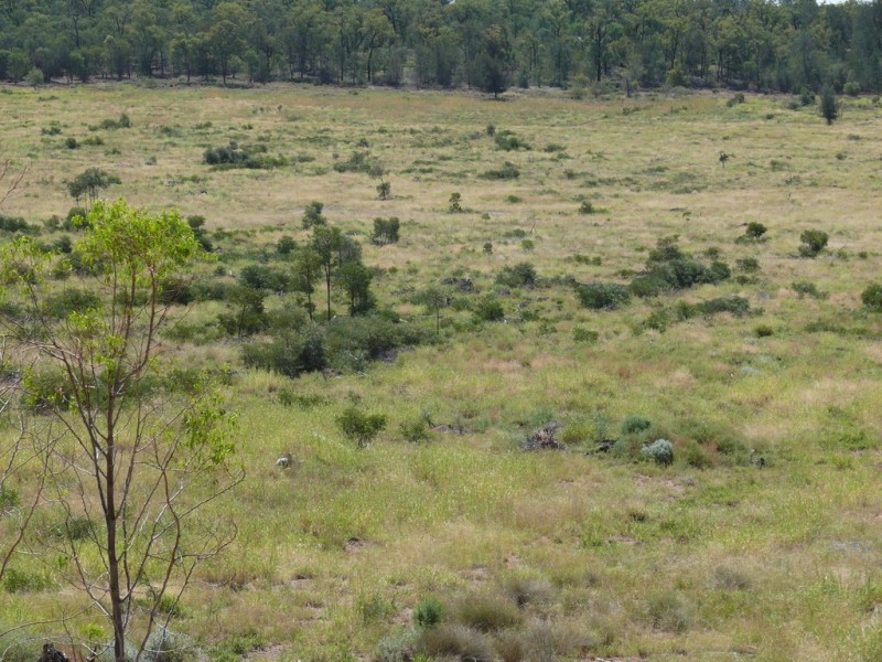 ” Lonesome”, Glenmorgan QLD 4423