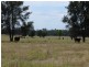 ” Lonesome”, Glenmorgan QLD 4423