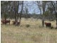 ” Lonesome”, Glenmorgan QLD 4423