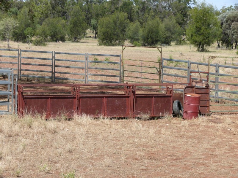 ” Lonesome”, Glenmorgan QLD 4423