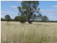 ” Lonesome”, Glenmorgan QLD 4423