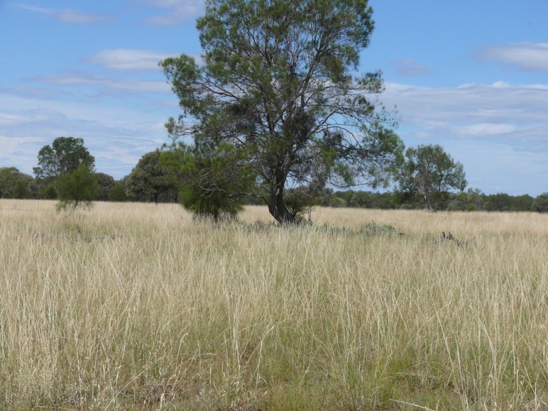 ” Lonesome”, Glenmorgan QLD 4423