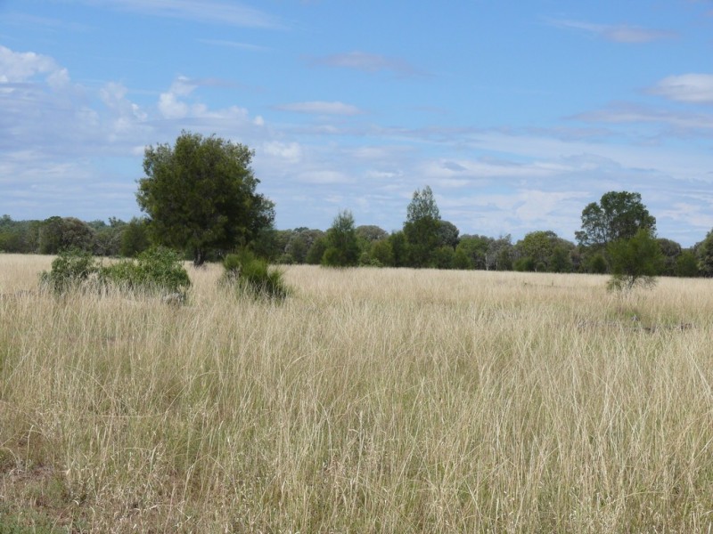 ” Lonesome”, Glenmorgan QLD 4423