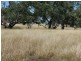 ” Blairmack”, Muckadilla QLD 4461