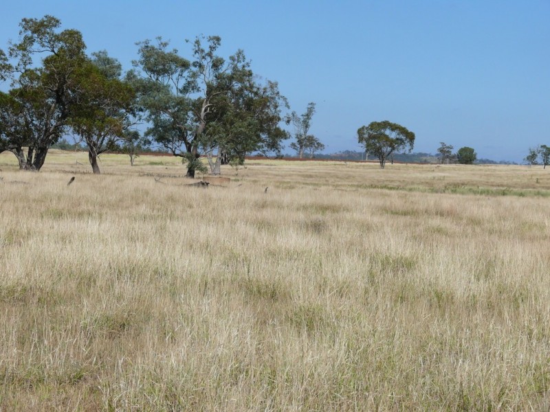 ” Blairmack”, Muckadilla QLD 4461