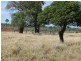 ” Blairmack”, Muckadilla QLD 4461