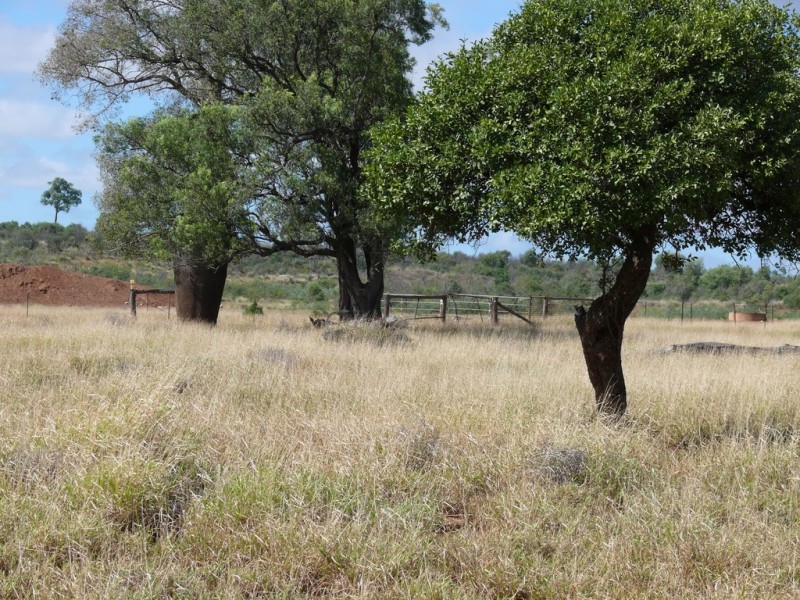 ” Blairmack”, Muckadilla QLD 4461