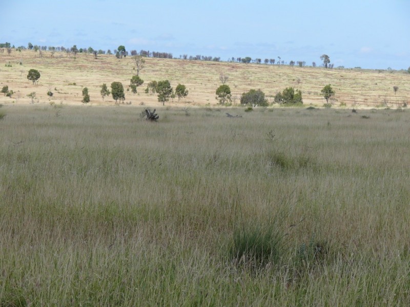 ” Blairmack”, Muckadilla QLD 4461
