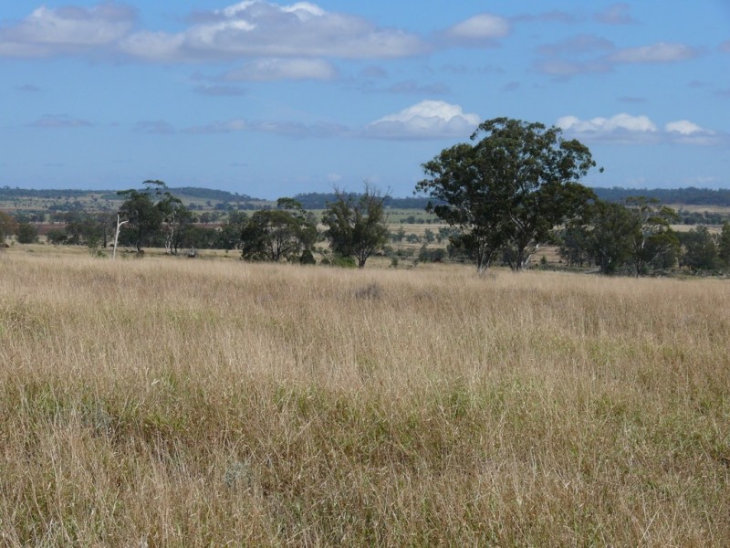 ” Blairmack”, Muckadilla QLD 4461