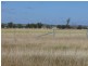 ” Blairmack”, Muckadilla QLD 4461