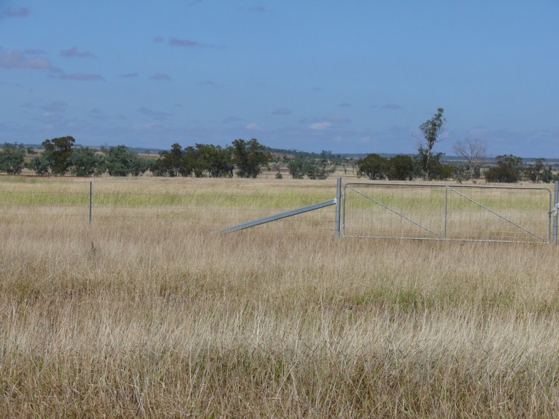 ” Blairmack”, Muckadilla QLD 4461