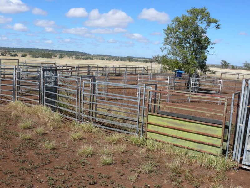 ” Blairmack”, Muckadilla QLD 4461