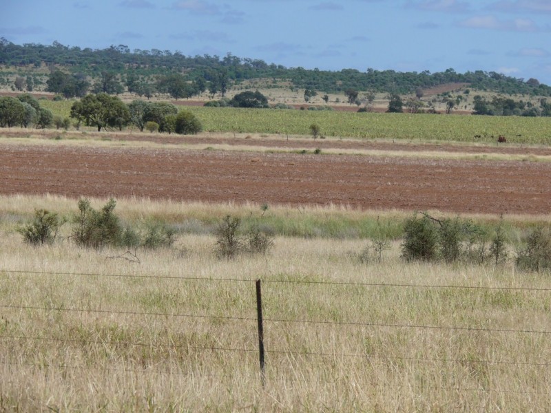 ” Blairmack”, Muckadilla QLD 4461