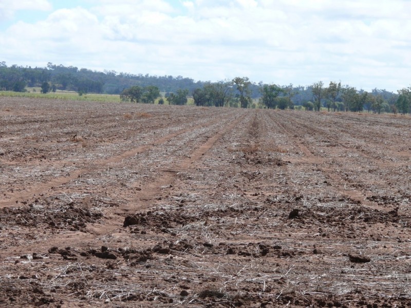 ” Blairmack”, Muckadilla QLD 4461
