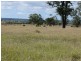 ” Blairmack”, Muckadilla QLD 4461