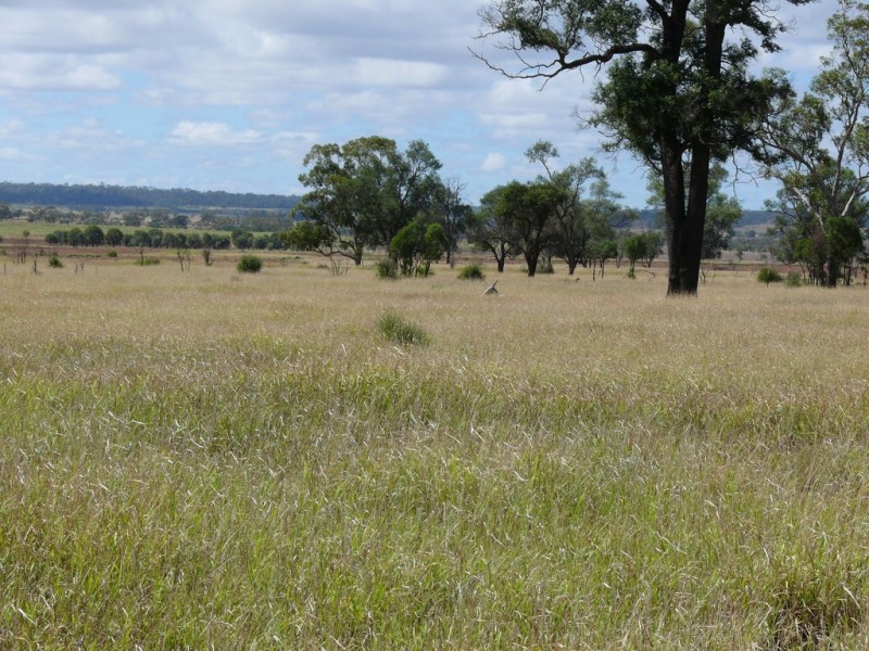 ” Blairmack”, Muckadilla QLD 4461