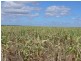 ” Blairmack”, Muckadilla QLD 4461