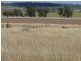 ” Blairmack”, Muckadilla QLD 4461