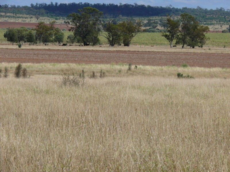 ” Blairmack”, Muckadilla QLD 4461