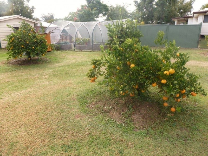 22 King Street, Surat QLD 4417