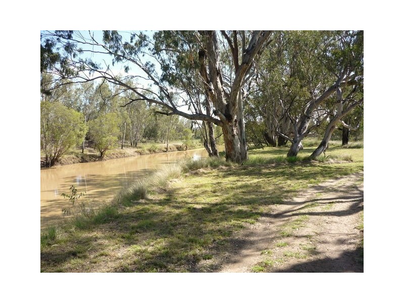 Villacoola L1 Carnarvon Highway, Surat QLD 4417