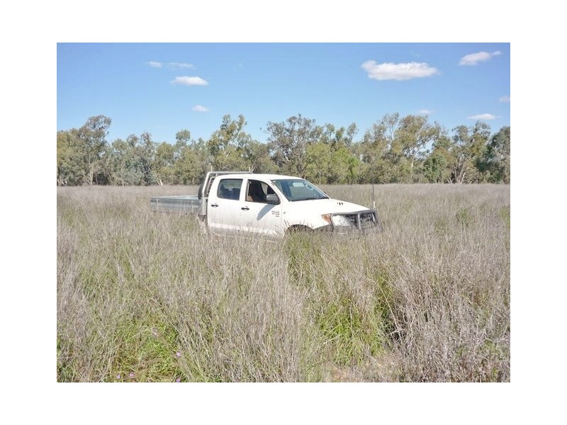 Villacoola L1 Carnarvon Highway, Surat QLD 4417