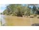 Villacoola L1 Carnarvon Highway, Surat QLD 4417