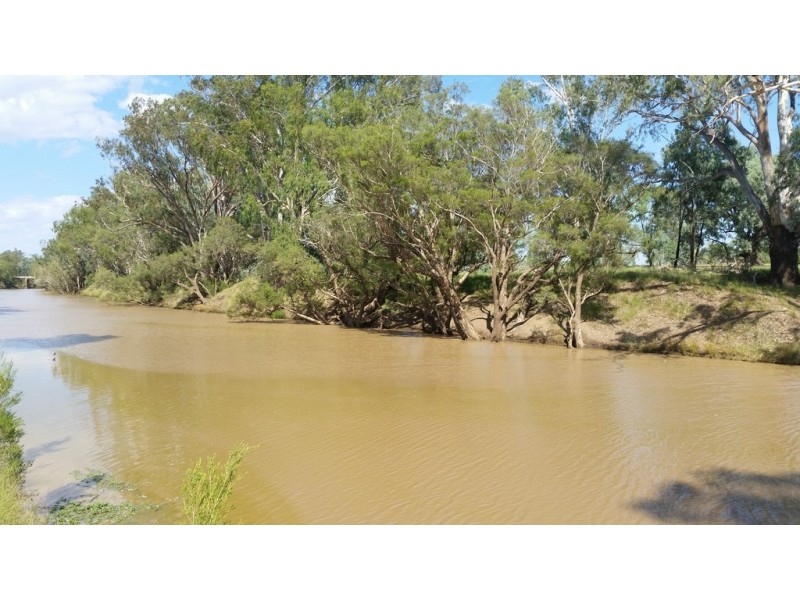 Villacoola L1 Carnarvon Highway, Surat QLD 4417