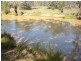Villacoola L1 Carnarvon Highway, Surat QLD 4417