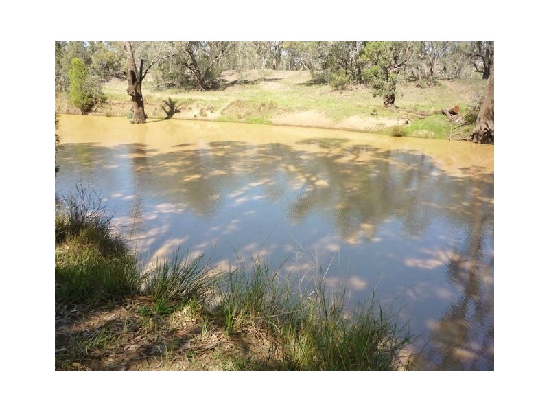 Villacoola L1 Carnarvon Highway, Surat QLD 4417